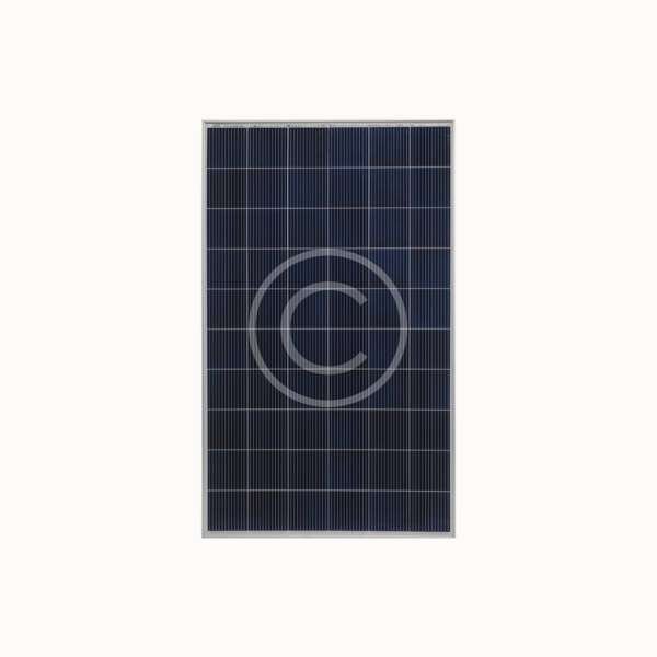 Longi Solar - Image 3